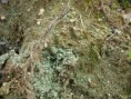 /album/prieskum-pravdepodobnej-environmentalnej-zataze-stara-tura-skladka-ko-drahy-vrch/kal-s-cn-detail-jpg/
